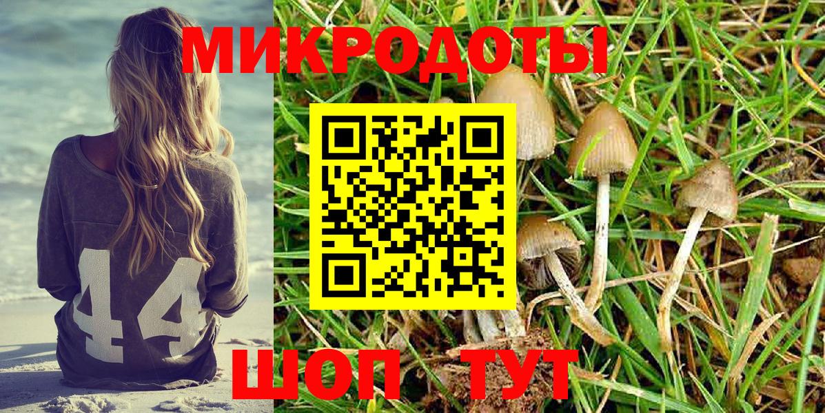 Псилоцибиновые грибы GOLDEN TEACHER Киров
