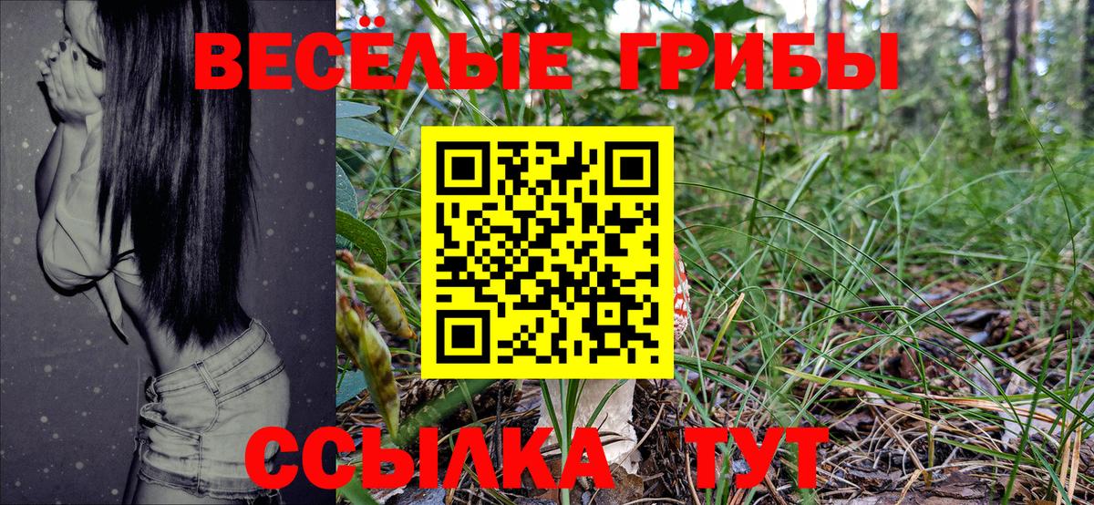 Галлюциногенные грибы мухоморы  Галлюциногенные грибы Psilocybe  Киров 