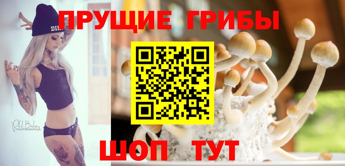 Киров  Галлюциногенные грибы Psilocybine cubensis  Вход с VPN 
