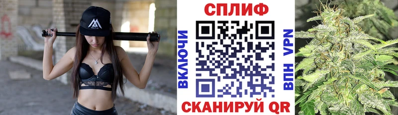 Конопля гибрид  Киров 